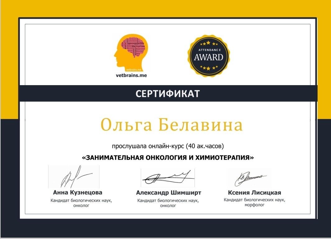 Документ или сертификат