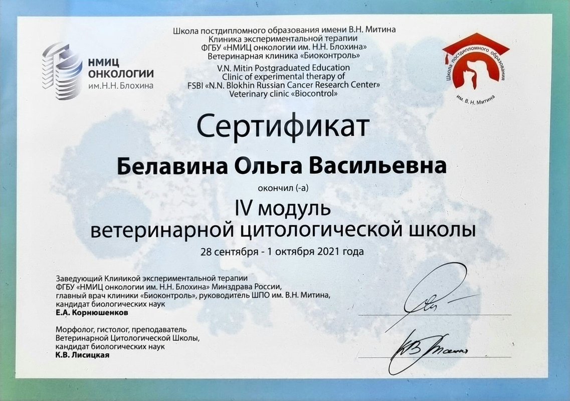 Документ или сертификат