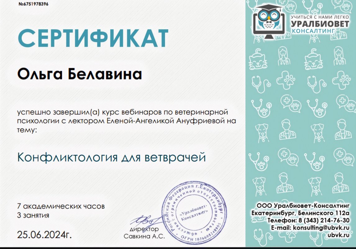 Документ или сертификат