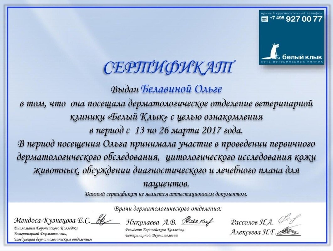 Документ или сертификат