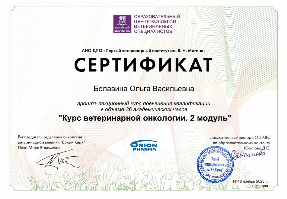 Документ или сертификат