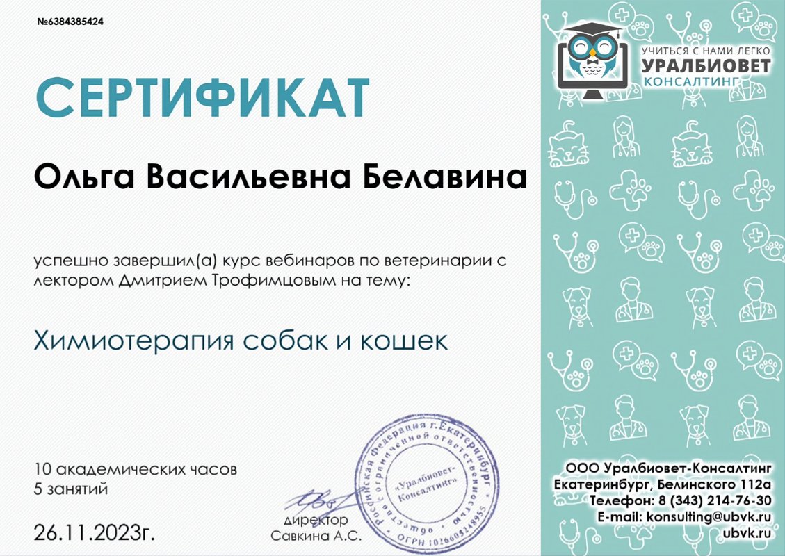 Документ или сертификат