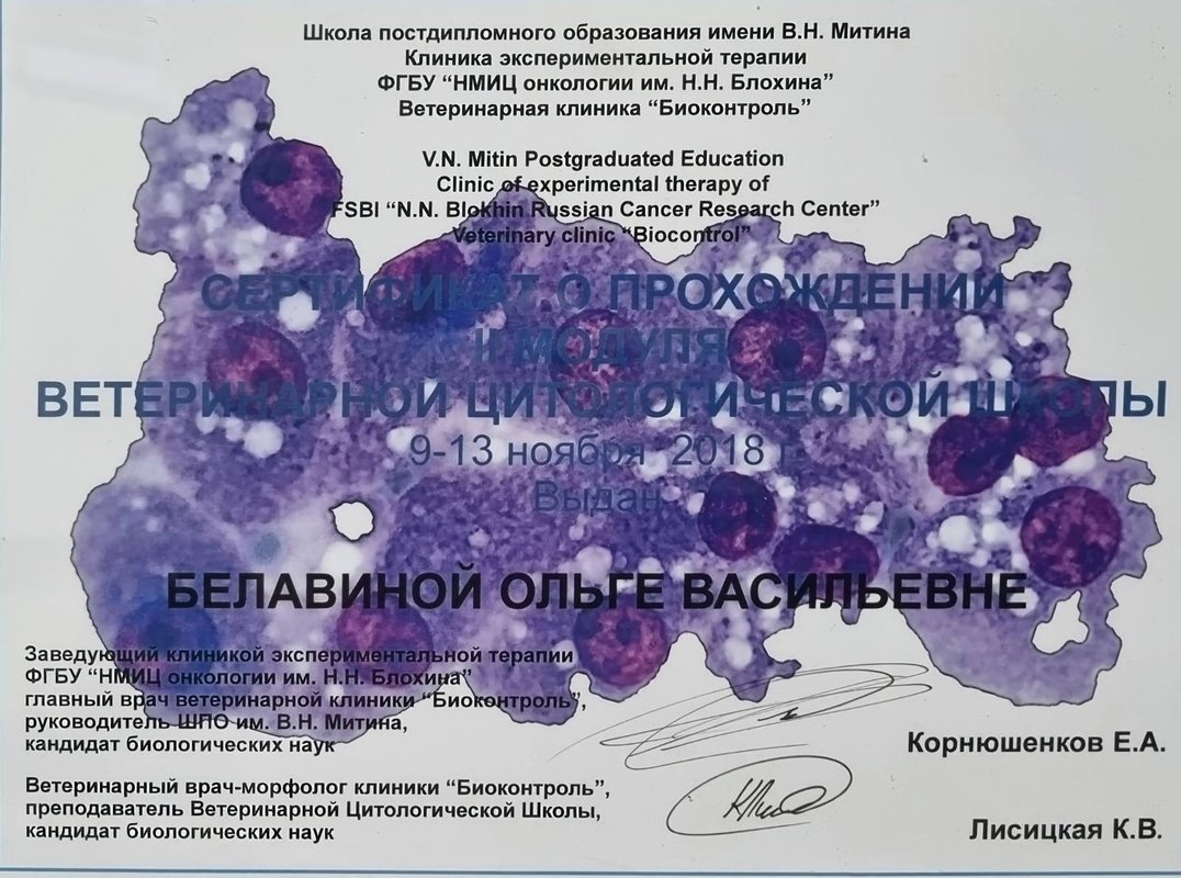 Документ или сертификат