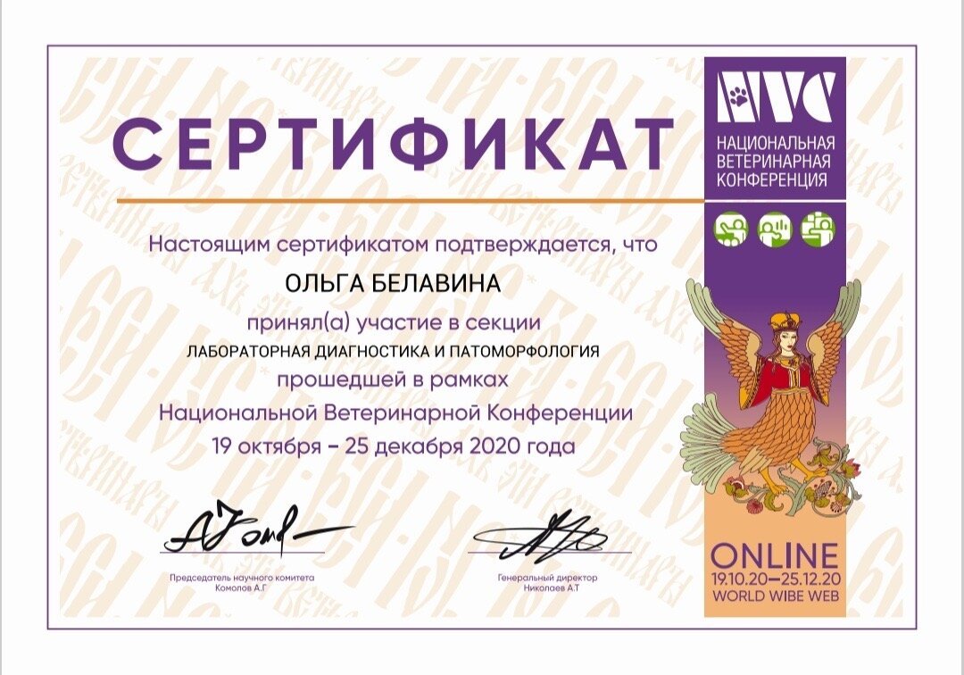 Документ или сертификат