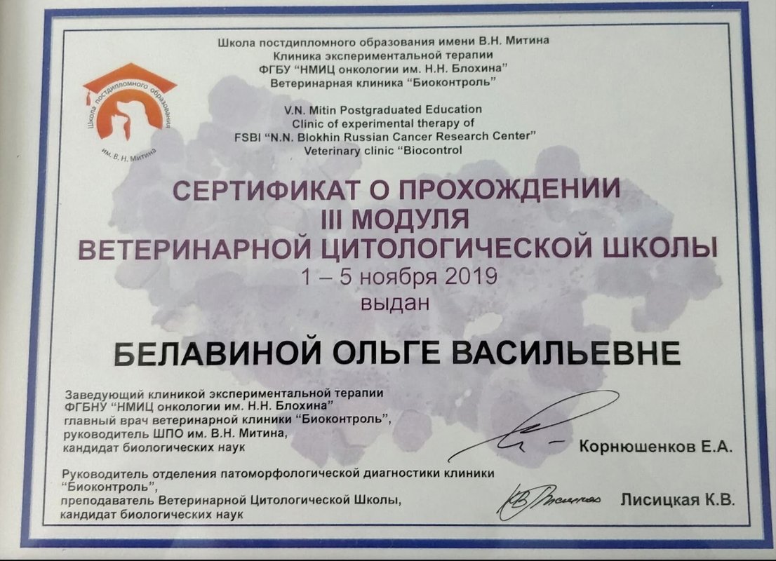 Документ или сертификат