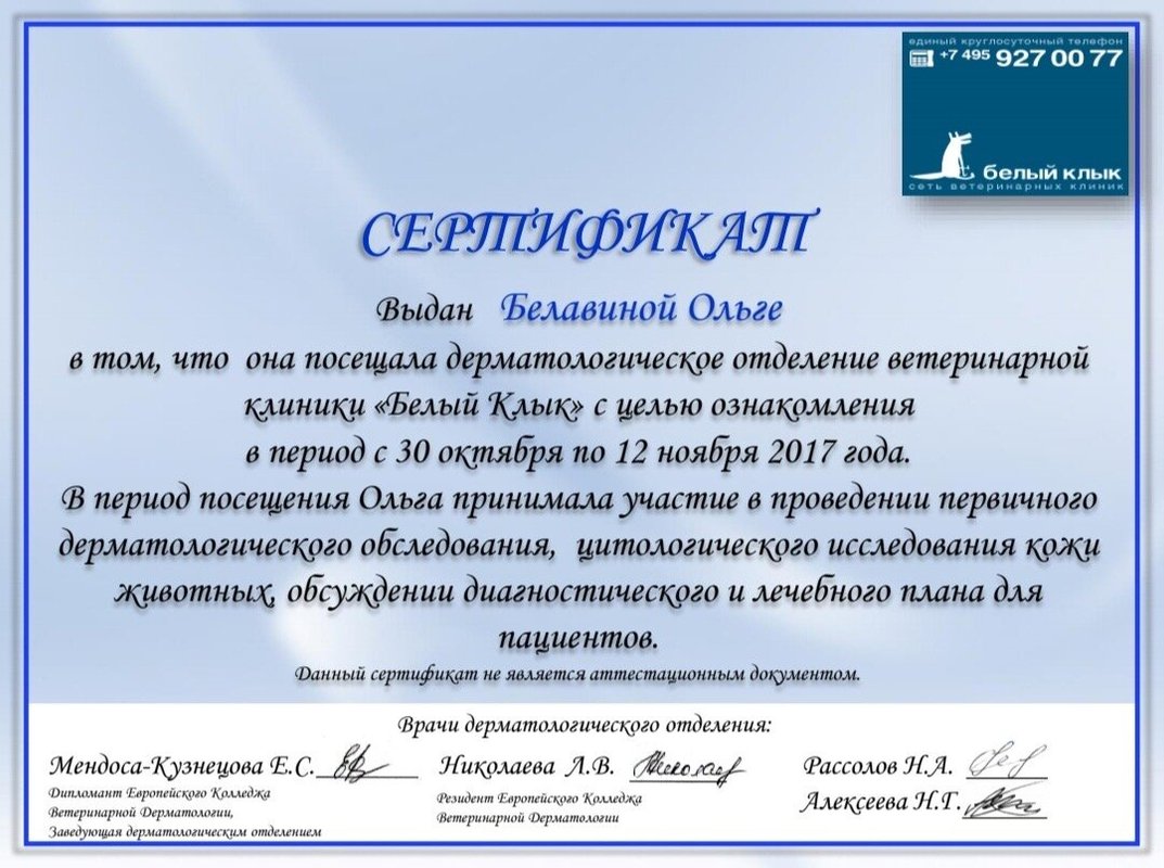 Документ или сертификат
