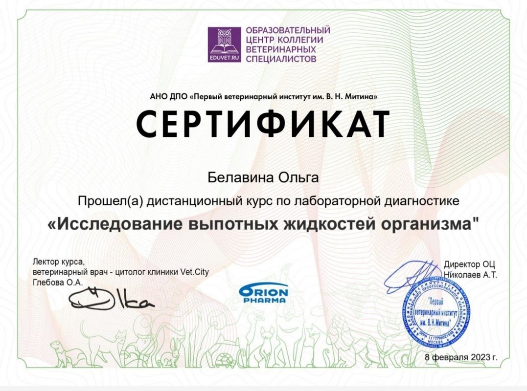 Документ или сертификат