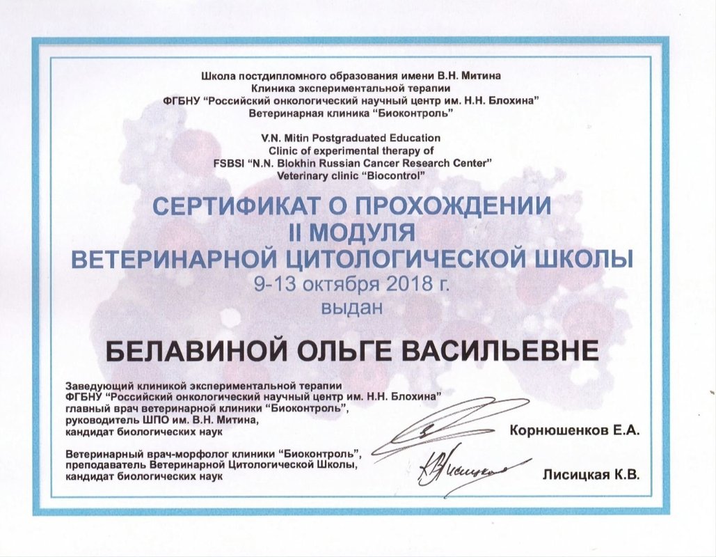 Документ или сертификат