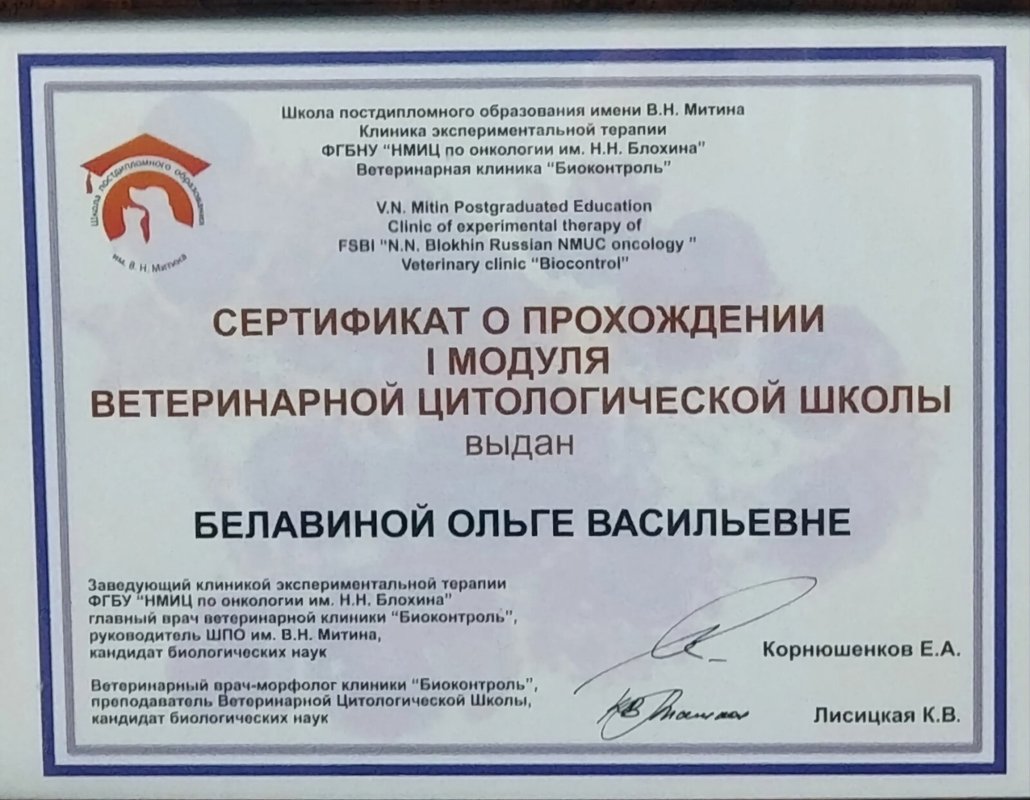 Документ или сертификат