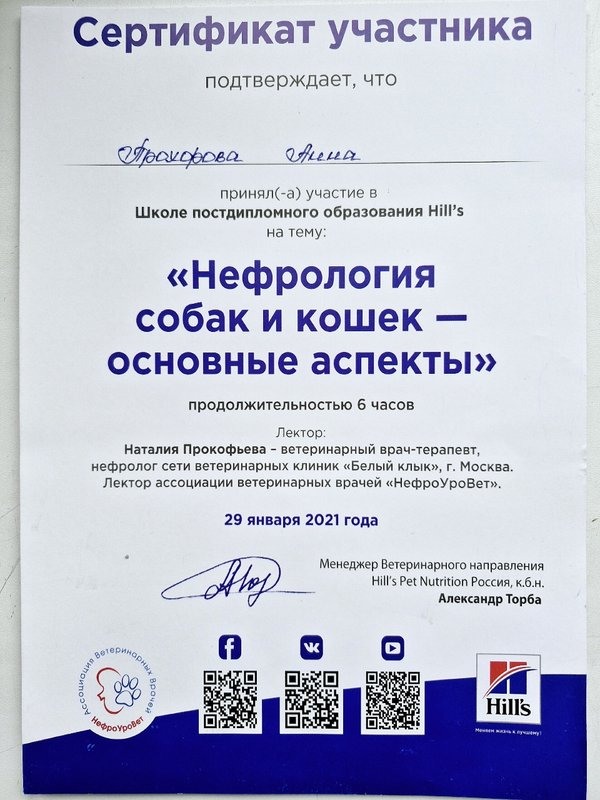 Документ или сертификат