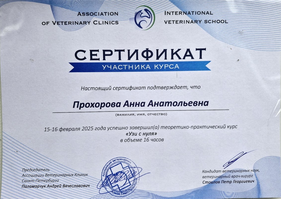 Документ или сертификат