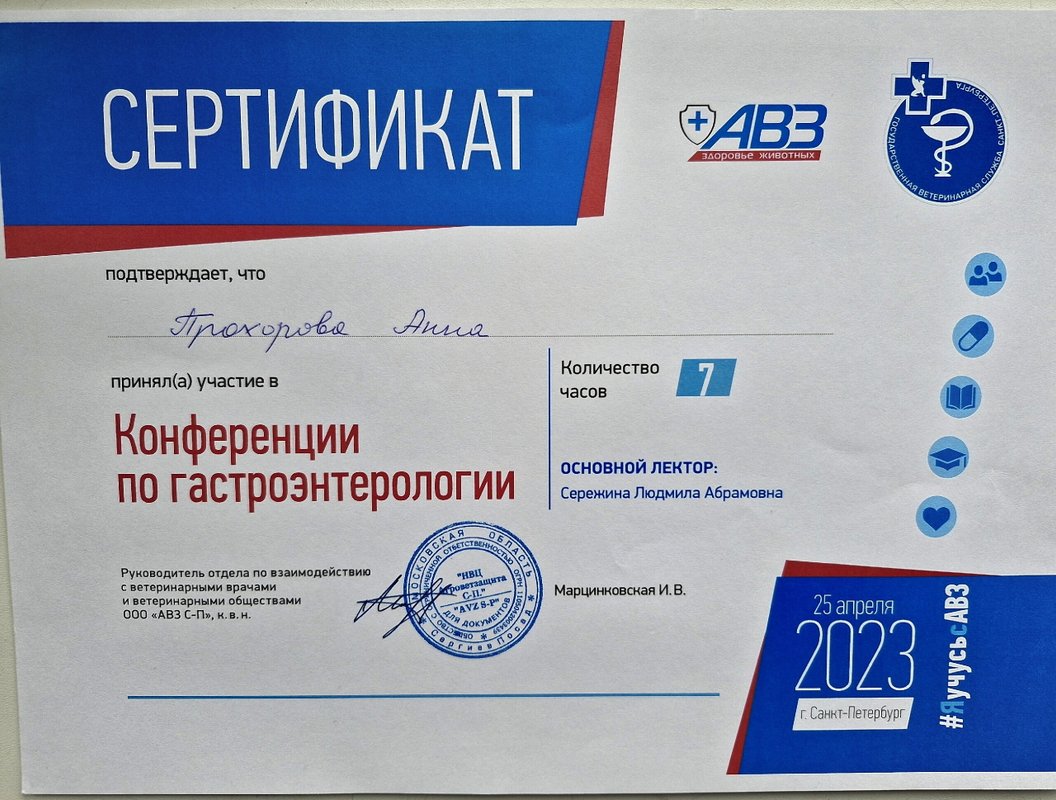 Документ или сертификат