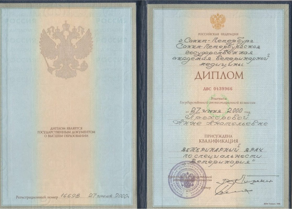 Фото врача