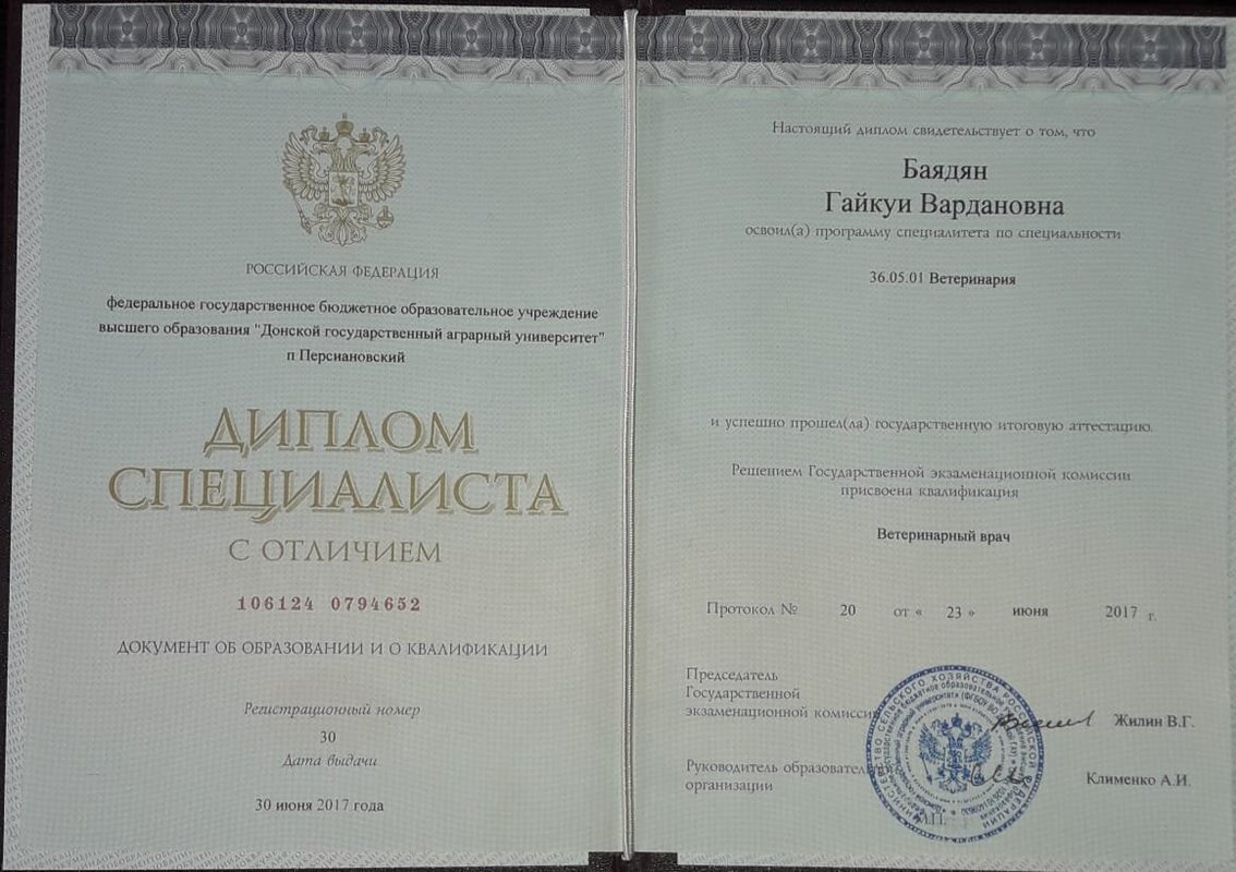 Документ или сертификат