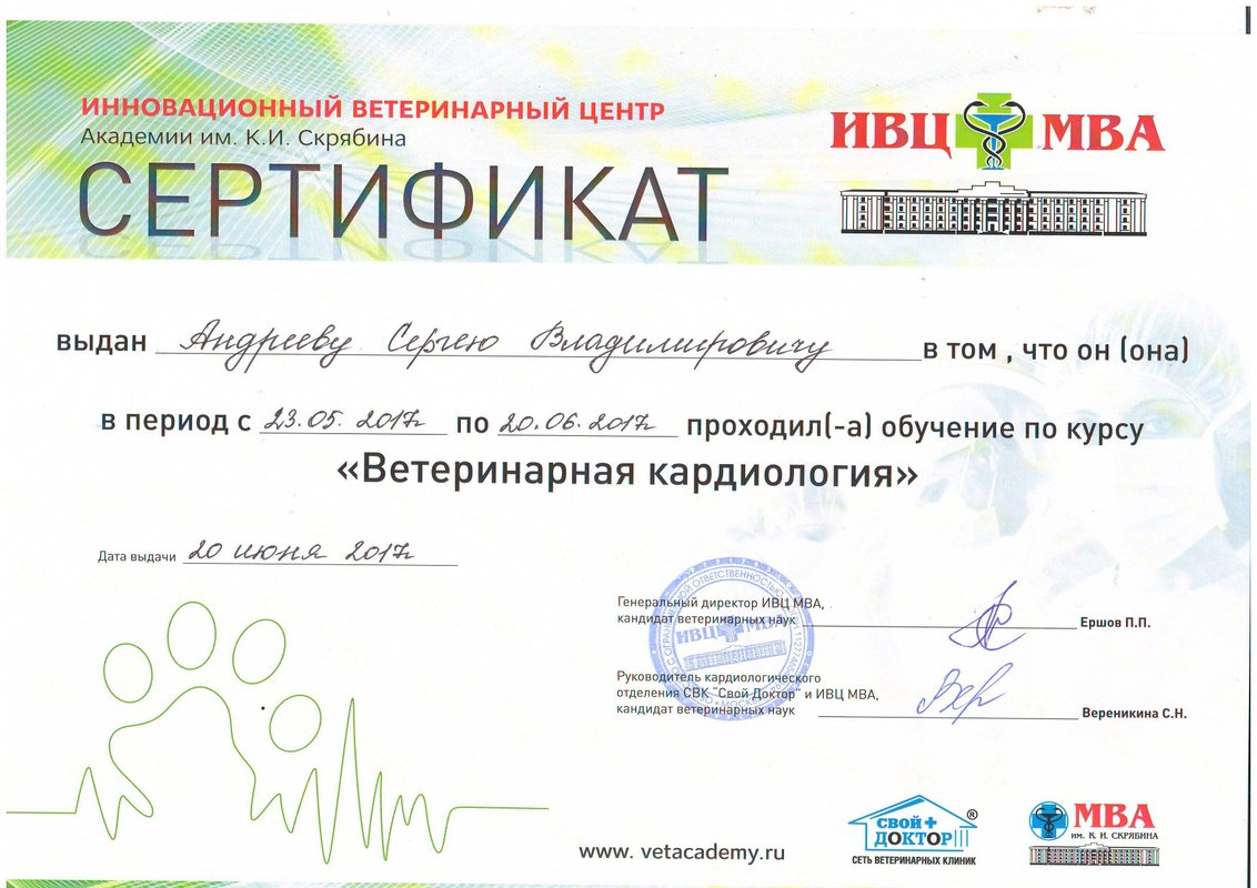 Документ или сертификат