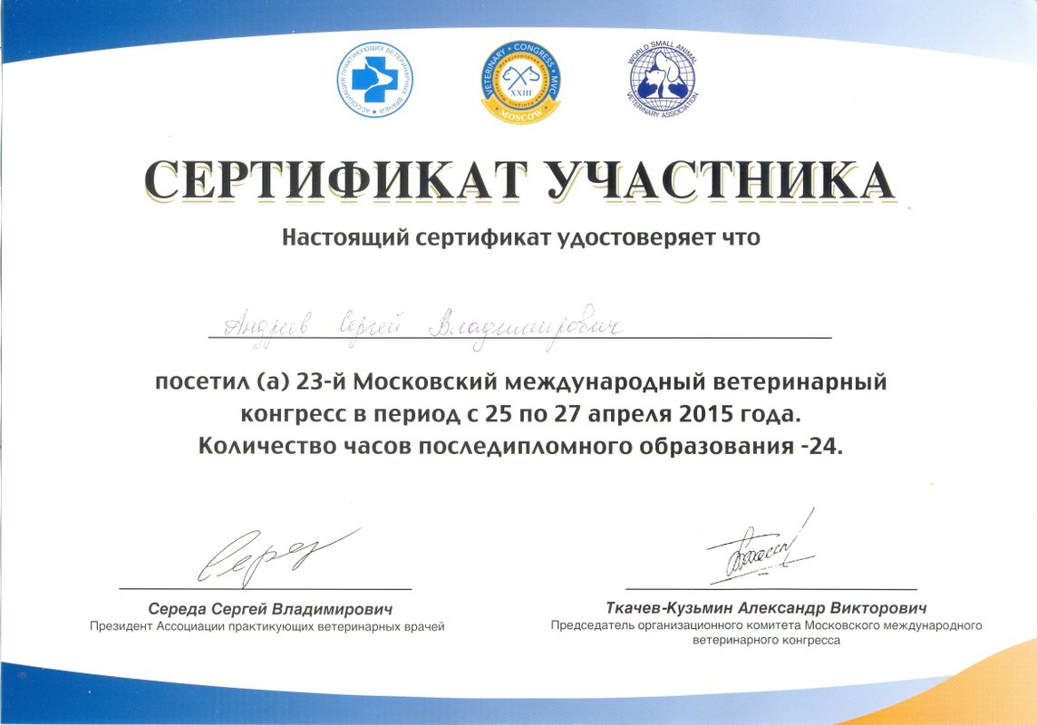 Документ или сертификат