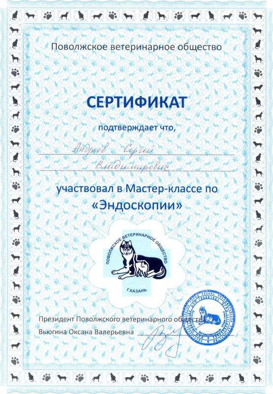Документ или сертификат