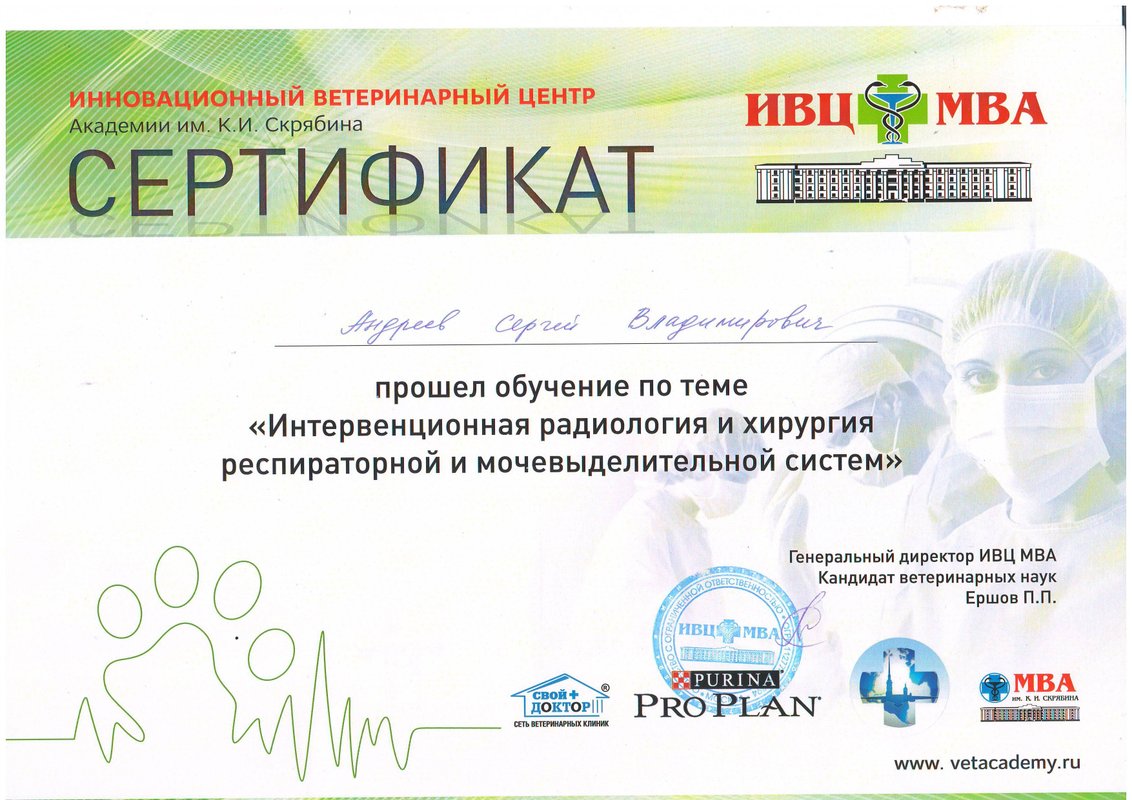 Документ или сертификат