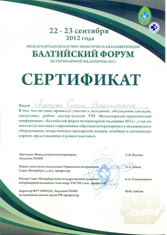 Документ или сертификат