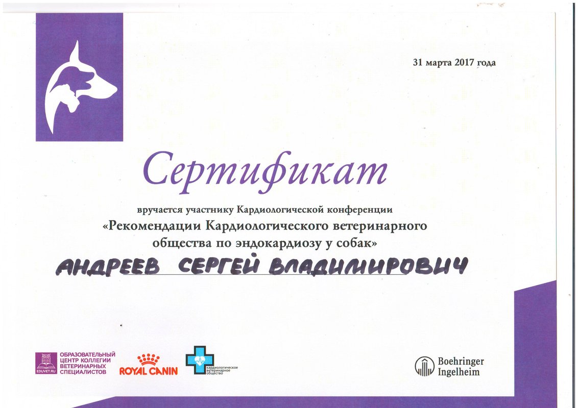 Документ или сертификат