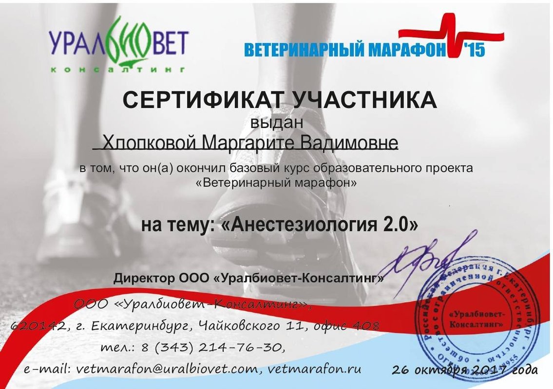 Документ или сертификат