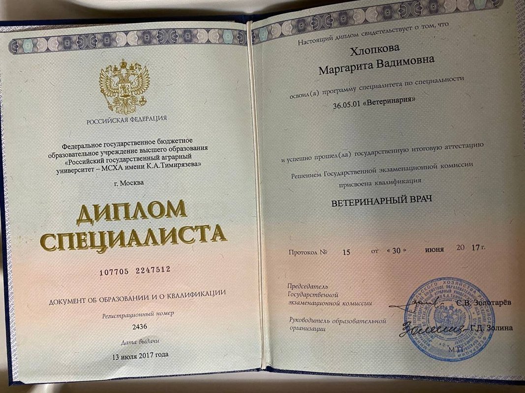 Документ или сертификат