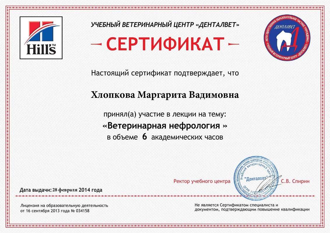 Документ или сертификат
