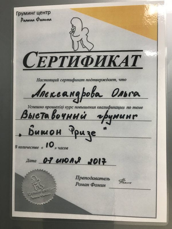 Документ или сертификат