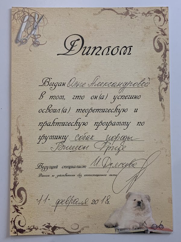 Документ или сертификат