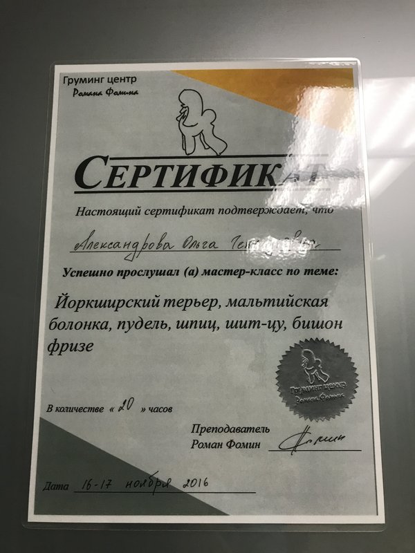Документ или сертификат