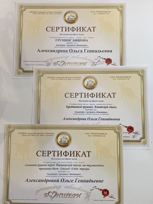 Документ или сертификат