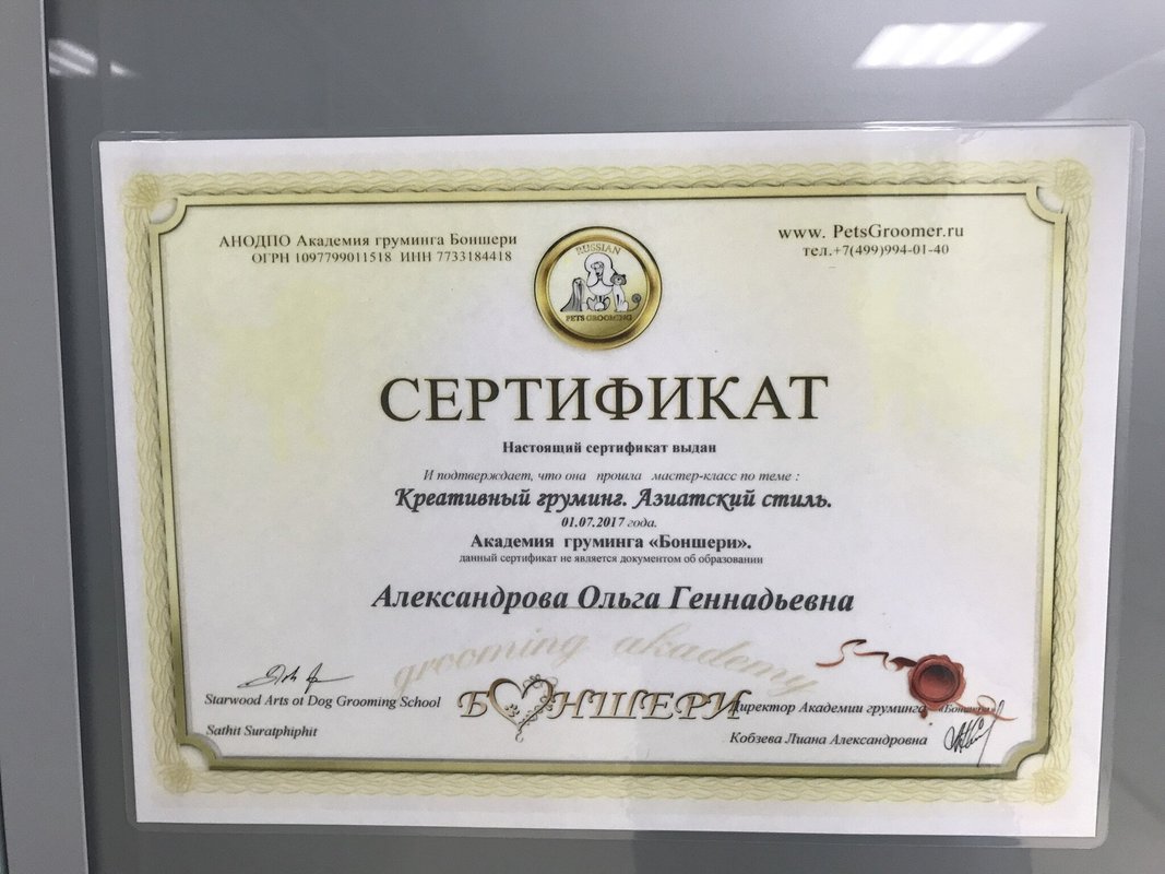 Документ или сертификат