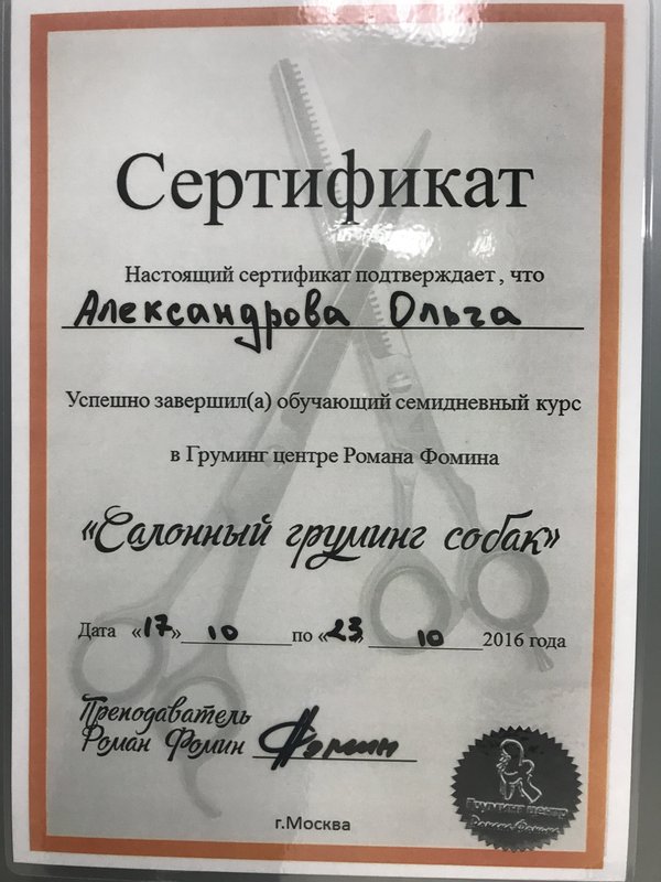 Документ или сертификат