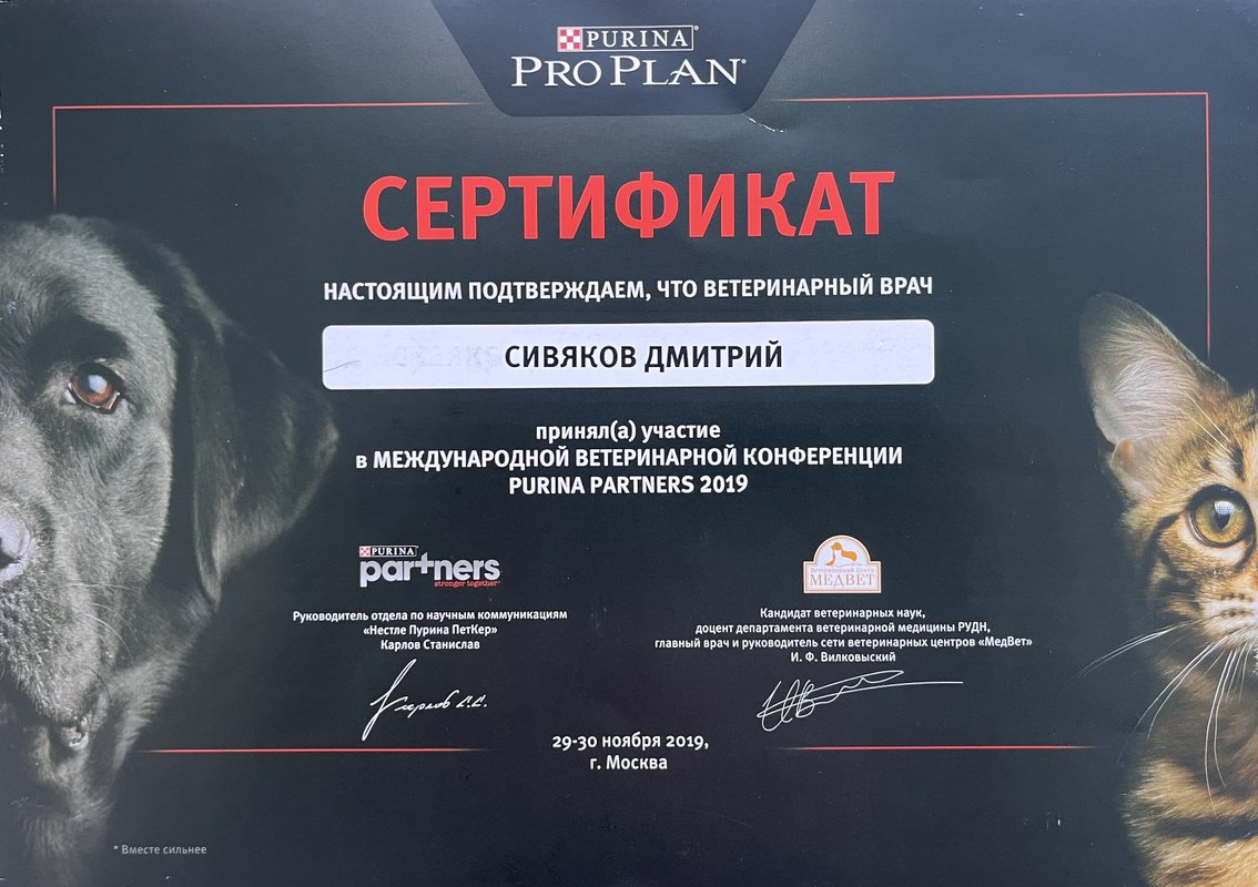 Документ или сертификат