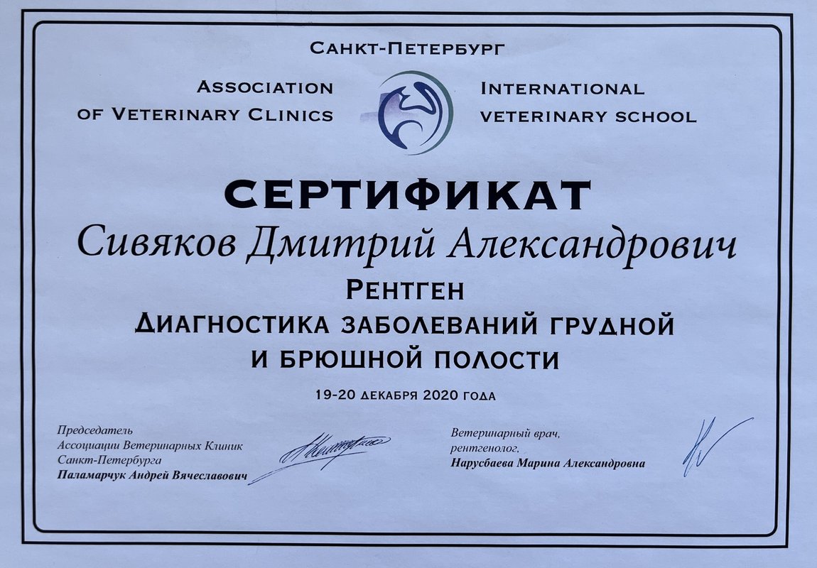 Документ или сертификат