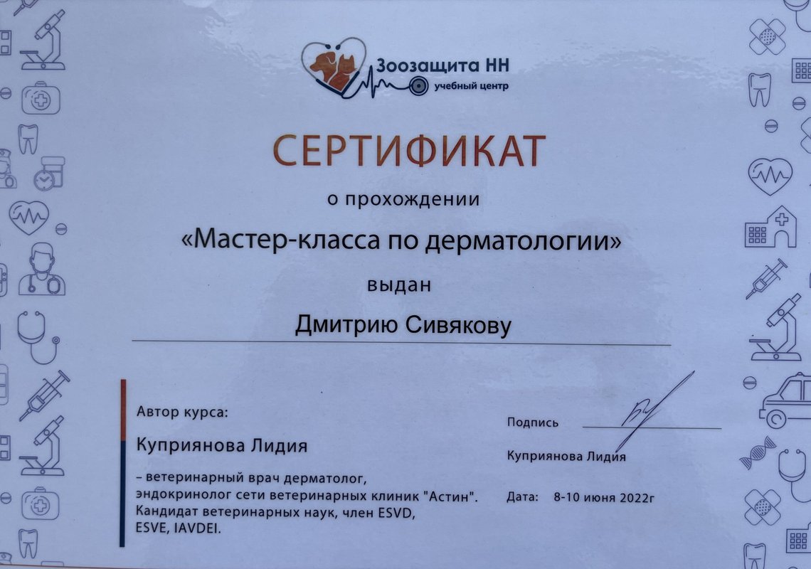 Документ или сертификат