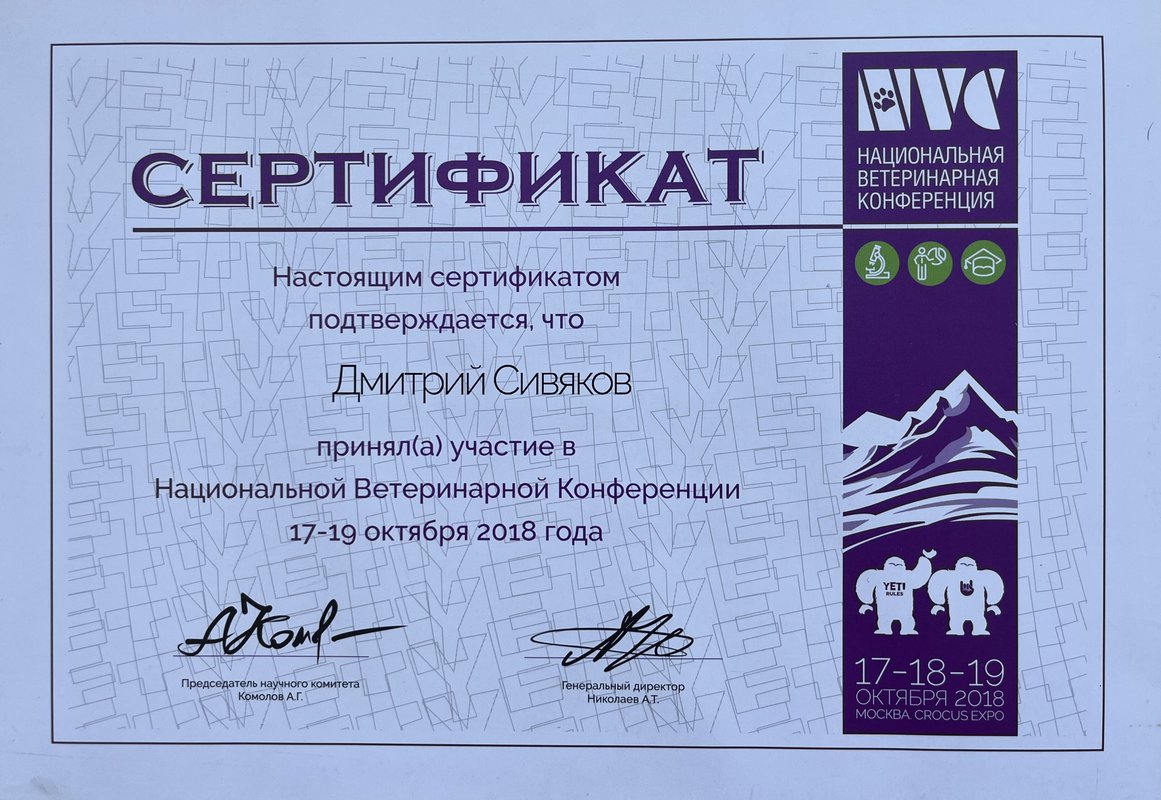 Документ или сертификат