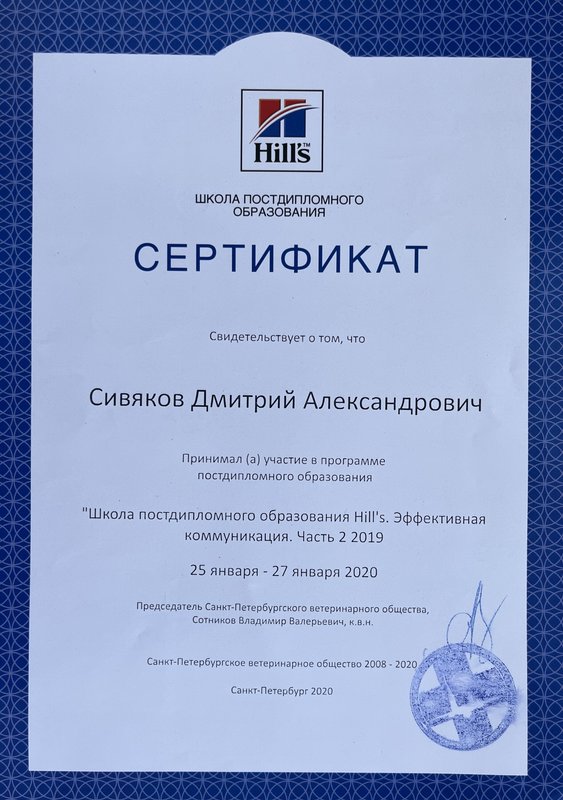 Документ или сертификат