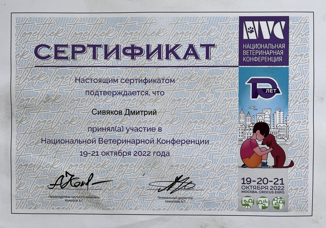 Документ или сертификат