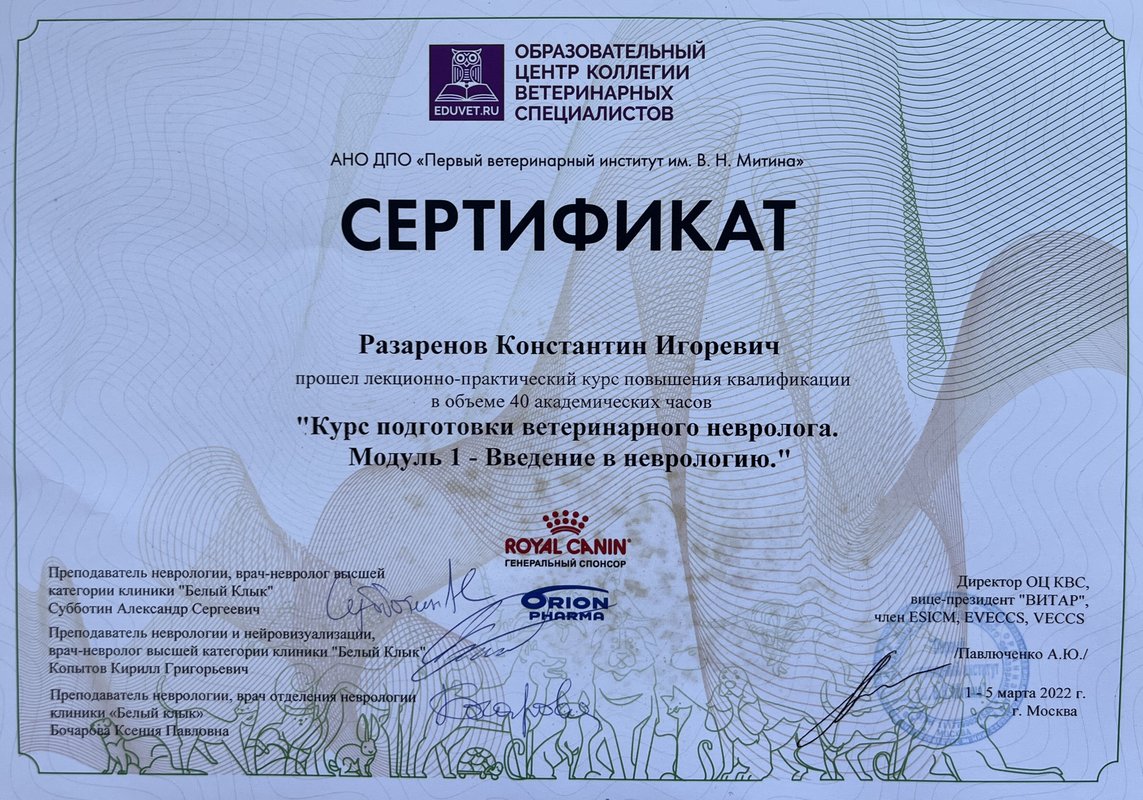 Документ или сертификат