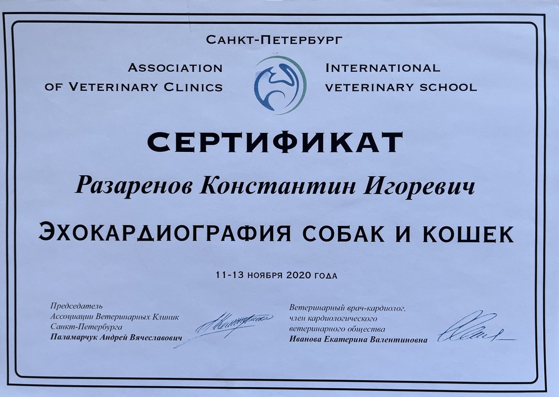 Документ или сертификат