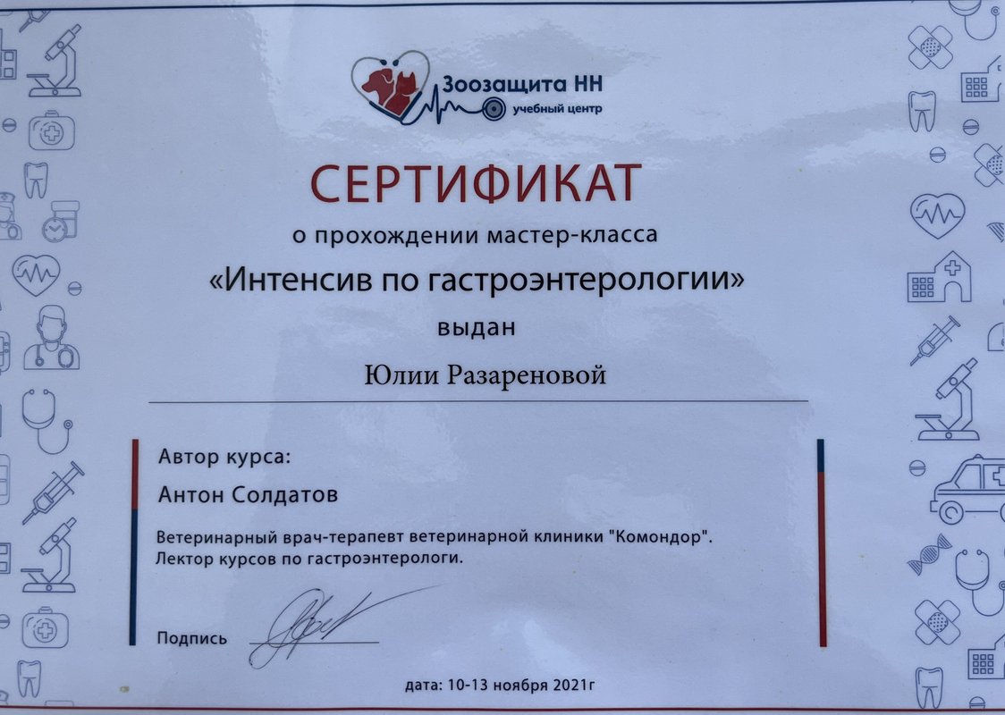 Документ или сертификат