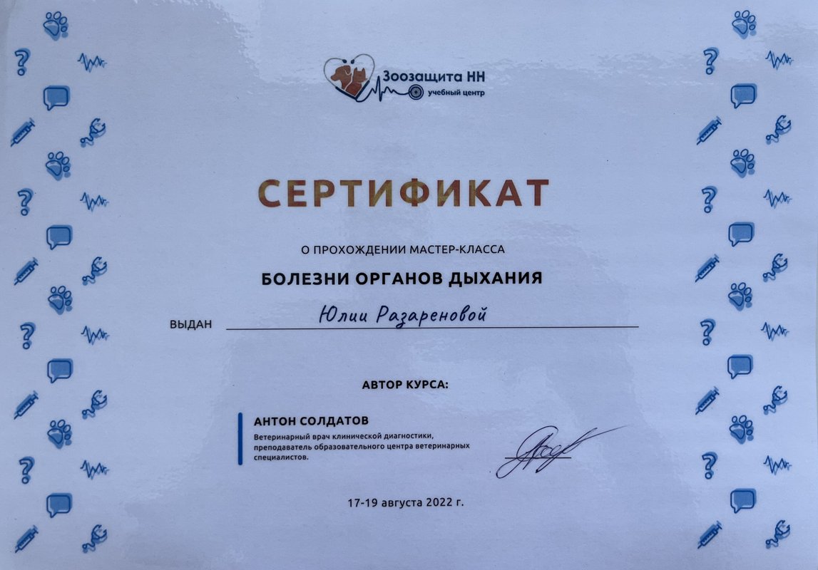 Документ или сертификат