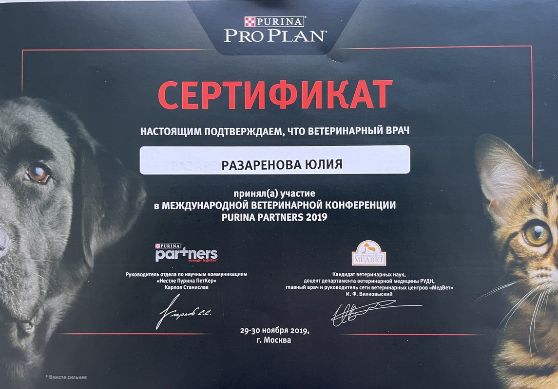 Документ или сертификат