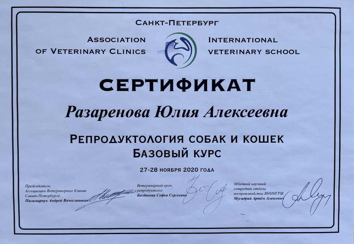 Документ или сертификат