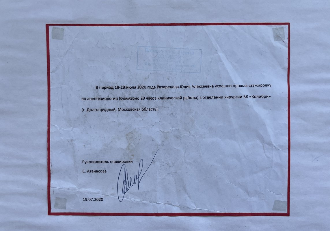 Документ или сертификат