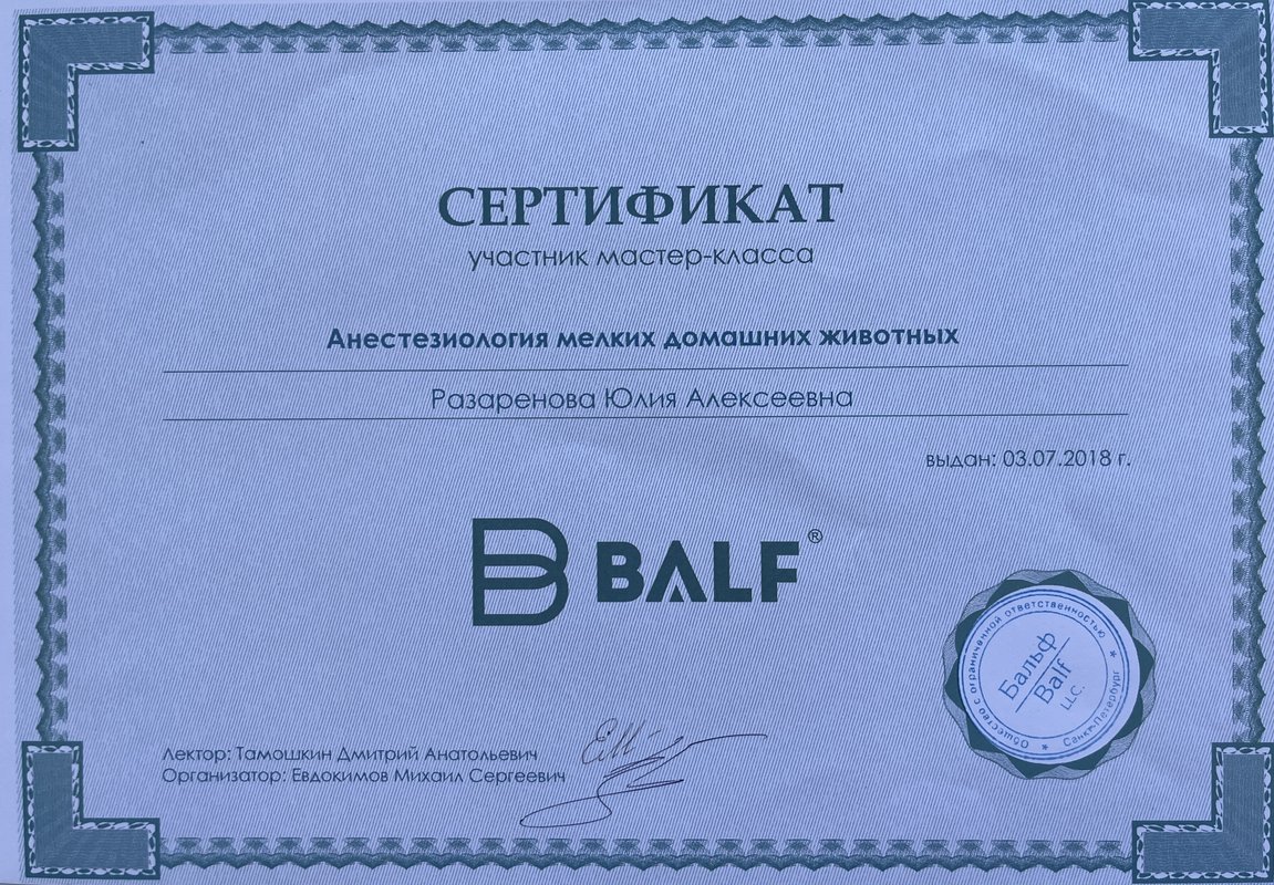 Документ или сертификат