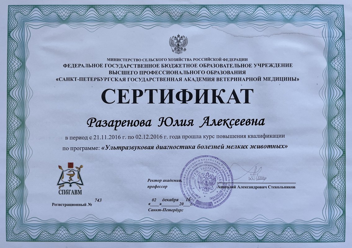 Документ или сертификат