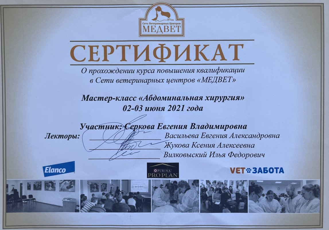 Документ или сертификат
