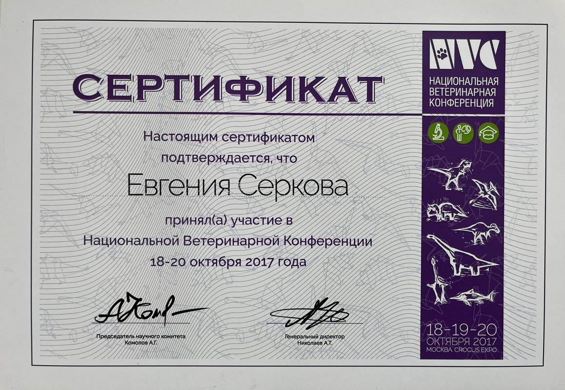Документ или сертификат